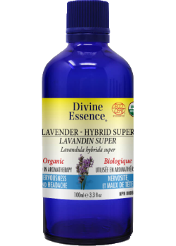 Lavender Oil (Hybrid Super, Organic) - 100ml