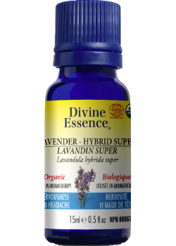 Lavender Oil (Hybrid Super, Organic) - 15ml