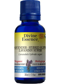 Lavender Oil (Hybrid Super, Organic) - 30ml