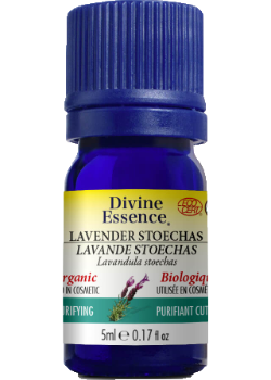 Lavender Oil (Stoechas, Organic) - 5ml