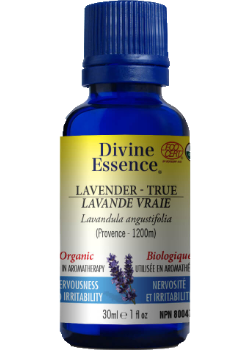 Lavender Oil (True Provence, Organic) - 30ml