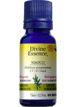 Niaouli Oil (Cineole, Organic) - 15ml