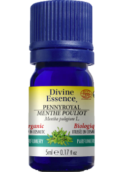 Pennyroyal Oil (Organic) - 5ml