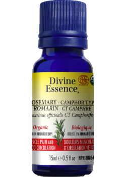 Rosemary Oil (Camphor Type, Organic) - 15ml