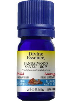 Sandalwood Oil (South Pacific, Wild) - 5ml