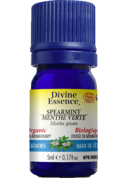 Spearmint Oil (Organic) - 5ml