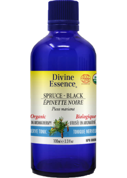Spruce Oil (Black, Organic) - 100ml