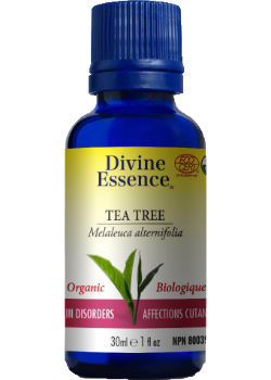 Tea Tree Oil (Organic) - 30ml