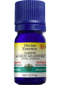 Yarrow Oil (Organic) - 5ml