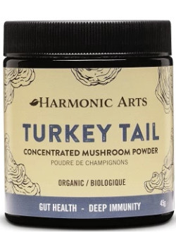 Turkey Tail Concentrated Mushroom Powder - 45g
