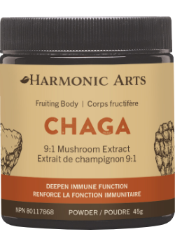 Chaga Concentrated Mushroom Powder - 45g