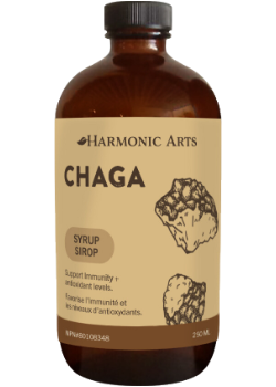 Chaga Syrup - 250ml