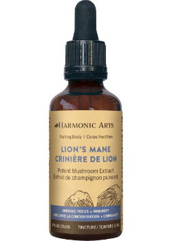 Lion's Mane Mushroom Tincture - 50ml