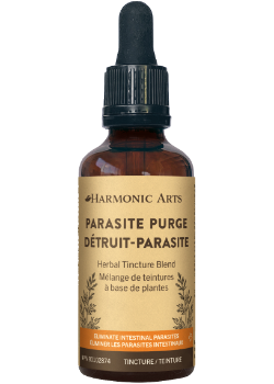 Parasite Purge Tincture - 100ml