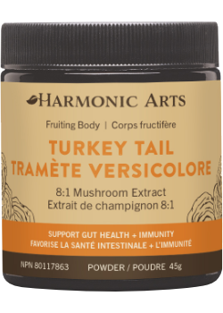 Turkey Tail Concentrated Mushroom Powder - 45g