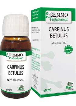 Carpinus Betulus (Gemmo) - 60ml
