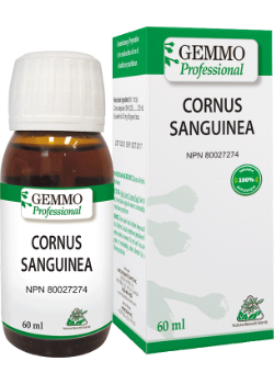 Cornus Sanguinea (Gemmo) - 60ml