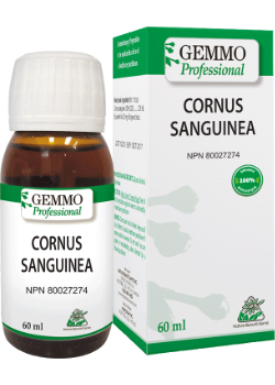 Cornus Sanguinea (Gemmo) - 60ml