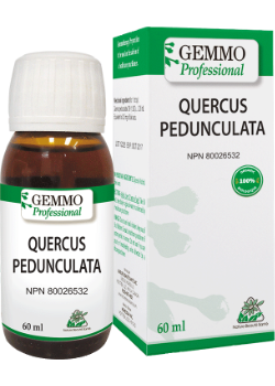 Quercus Pedunculata (Gemmo) - 60ml