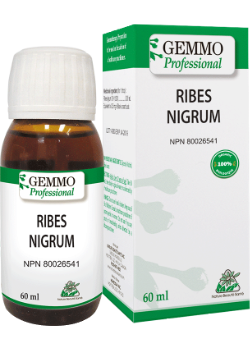 Ribes Nigrum (Gemmo) - 60ml