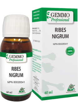 Ribes Nigrum (Gemmo) - 60ml