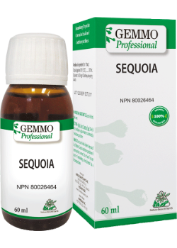 Sequoia (Gemmo) - 60ml