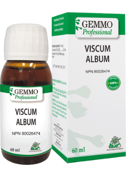 Viscum Album (Gemmo) - 60ml