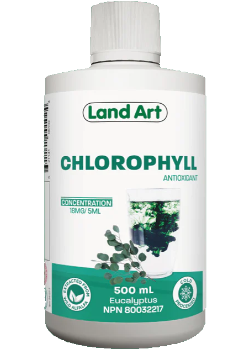 Chlorophyll (Eucalyptus) - 500ml
