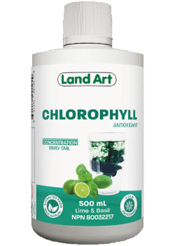 Chlorophyll (Lime Basil) - 500ml