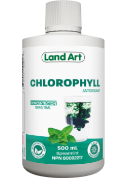 Chlorophyll (Spearmint) - 500ml