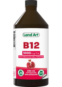 Vitamin B-12 (Pomegranate) - 250ml