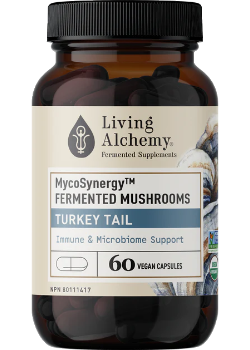 Mycosynergy Fermented Mushrooms Turkey Tail - 60 V-Caps