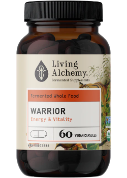 Warrior (Energy & Vitality) - 60 V-Caps