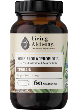 Your Flora Probiotic Terrain (Digestive Lining) - 60 V-Caps