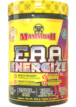 Mammoth EAA Energize (Cherry Slushie) - 450g