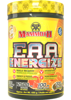Mammoth EAA Energize (Paradise Punch) - 450g