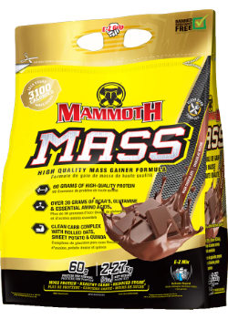 Mammoth Mass (Chocolate) - 5lb