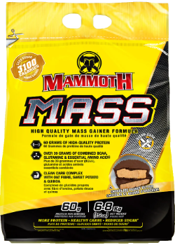 Mammoth Mass (Chocolate Peanut Butter) - 15lb