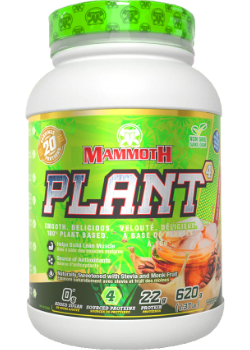 Mammoth Plant (Cold Brew Coffee) - 620g