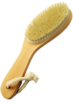 Natural Bristle Body Brush (Wood) - 1 Brush