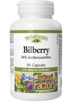 Bilberry Standardized Extract 40mg - 90 Caps