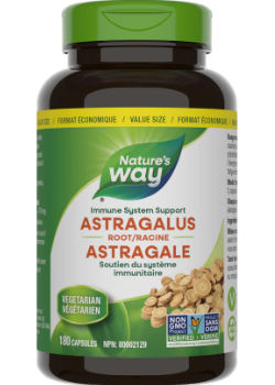 Astragalus Root 470mg - 180 Caps