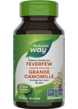 Feverfew Leaves - 100 Caps