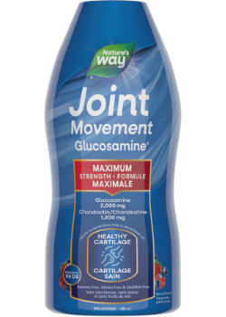 Joint Movement Glucosamine (Berry) - 480ml