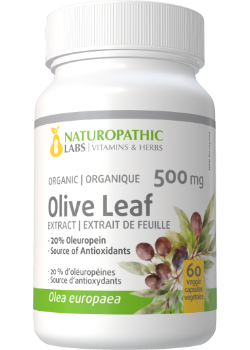 Olive Leaf Extract 500mg (Organic / 20% Oleuropein) - 60 V-Caps