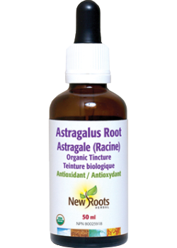 Astragalus Root (Certified Organic) - 50ml