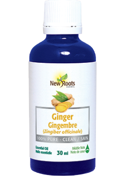 Ginger Essential Oil (100% Pure) - 30ml