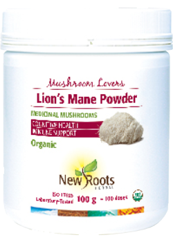 Mushroom Lovers Lion's Mane (Organic) - 100g