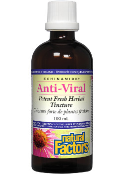 Echinamide Anti - Viral Potent Herb Tincture - 100ml - Natural Factors (Duplicate)