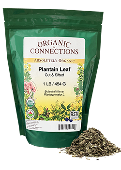 Plantain Leaf (Organic Loose) - 454g - Organic Connections